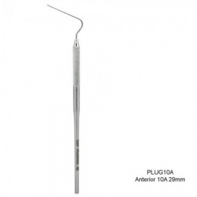 Anterior 10 (29mm)